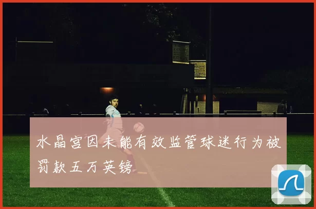 水晶宫因未能有效监管球迷行为被罚款五万英镑